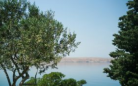 Baric Draga